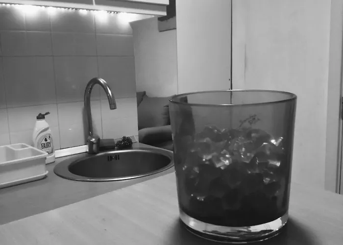 Διαμέρισμα Dorcol - Center Βελιγράδι